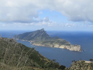 IMG_5047 (Medium)